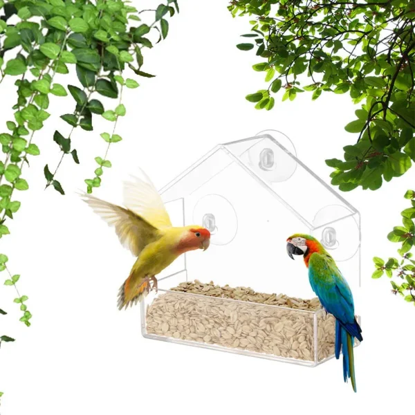 Bird Feeder Transparent  With Suction Cup For Window - Image 4