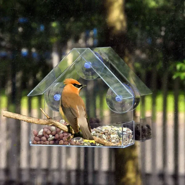 Bird Feeder Transparent  With Suction Cup For Window - Image 5