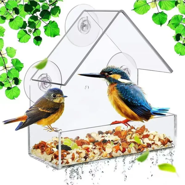 Bird Feeder Transparent  With Suction Cup For Window