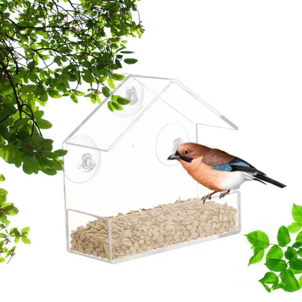 Bird Feeder Transparent  With Suction Cup For Window - Image 3