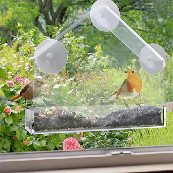 Bird Feeder Transparent  With Suction Cup For Window - Image 6